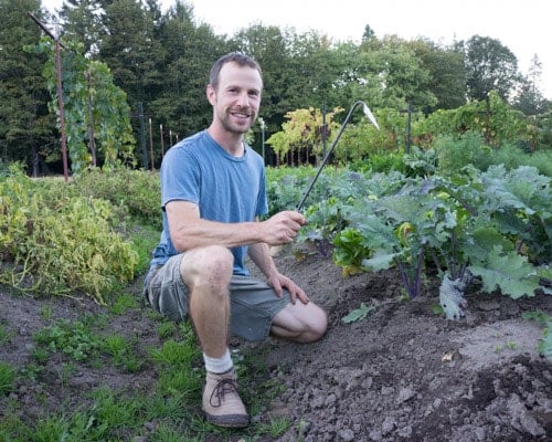 Best weeding tool - Matt at NSH Garden Blog