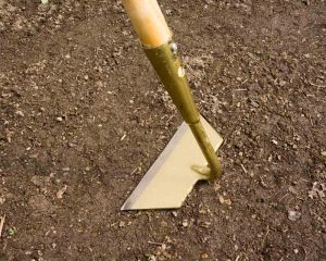 SHW Slicing Hoe Main Angle - Best weeding tool for veggies